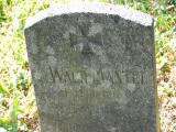 image of grave number 196857